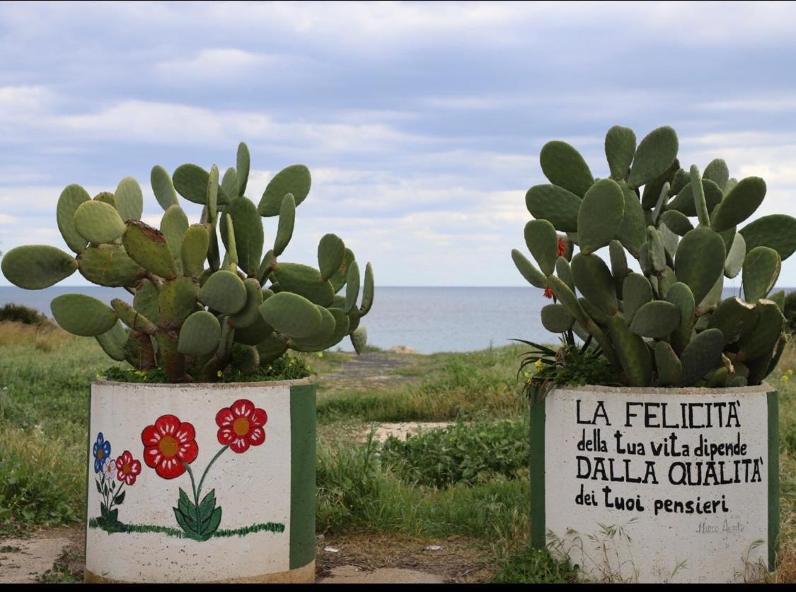 Samoa Beach Arenella  Kültér fotó